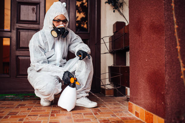 Reliable Cockroach Control contractor in Montvale, NJ by Nex Pest Control